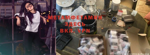 прущие грибы Верхний Тагил