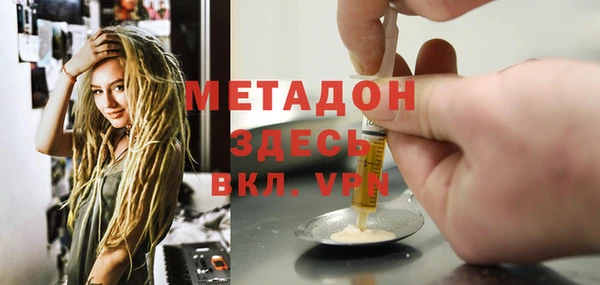 прущие грибы Верхний Тагил