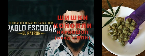 apvp Верея