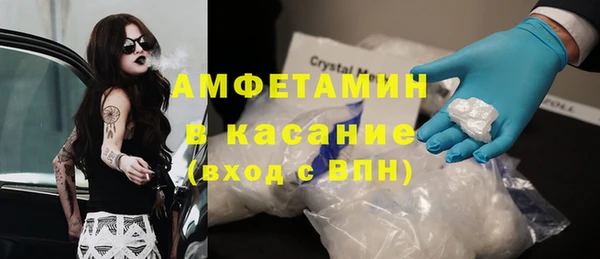 прущие грибы Верхний Тагил