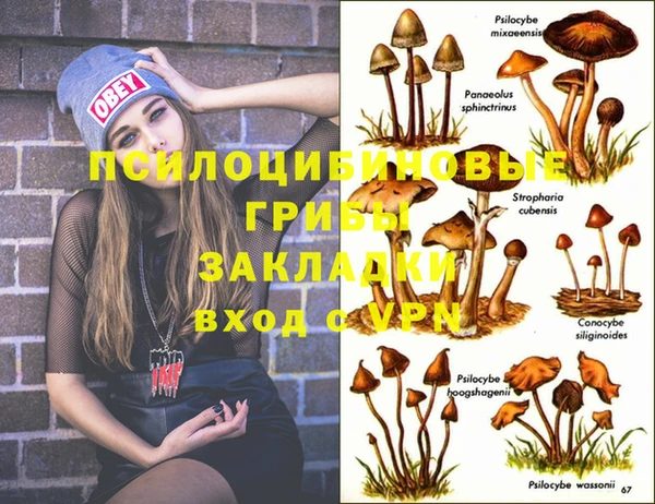 apvp Верея