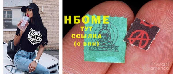 прущие грибы Верхний Тагил