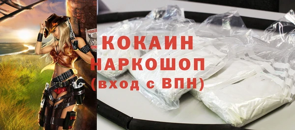 прущие грибы Верхний Тагил
