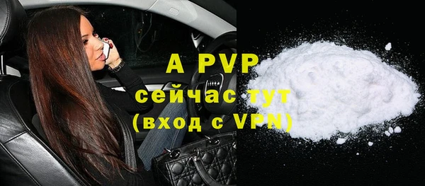 apvp Верея