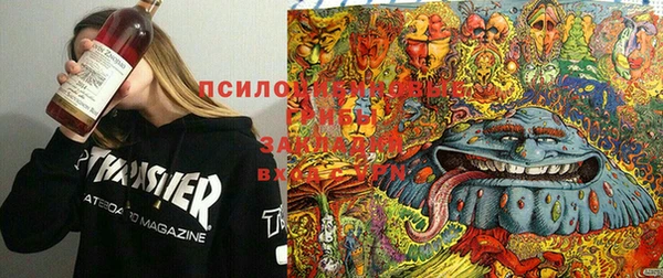 apvp Верея