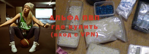прущие грибы Верхний Тагил