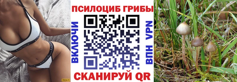 Псилоцибиновые грибы Psilocybe  Певек 